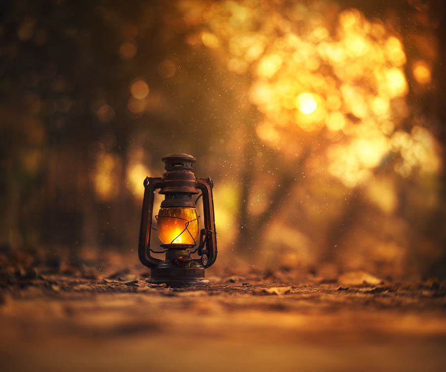 I Create Magical Images With My Old Lantern I Create Magical Images With My Old Lantern