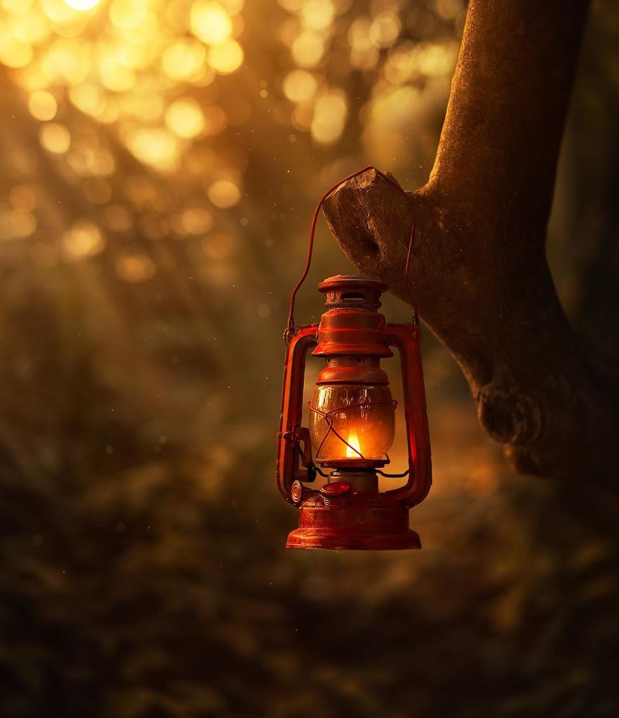 I Create Magical Images With My Old Lantern I Create Magical Images With My Old Lantern