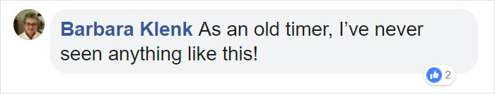 Farmer Surprised To Find ‘Ghost Apples’ On Trees After Polar Vortex Farmer Surprised To Find ‘Ghost Apples’ On Trees After Polar Vortex