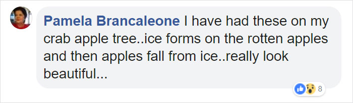 Farmer Surprised To Find ‘Ghost Apples’ On Trees After Polar Vortex Farmer Surprised To Find ‘Ghost Apples’ On Trees After Polar Vortex