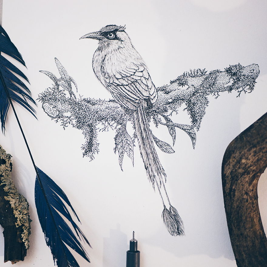 I‘ve Been Drawing Birds For 3 Years, Here Are The 10 Benefits I‘ve Noticed I‘ve Been Drawing Birds For 3 Years, Here Are The 10 Benefits I‘ve Noticed