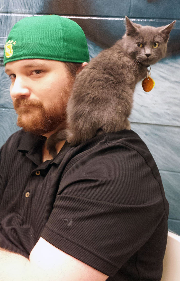 These Funny Animals Found Themselves In The Most Unexpected Situations While At The Shelter These Funny Animals Found Themselves In The Most Unexpected Situations While At The Shelter