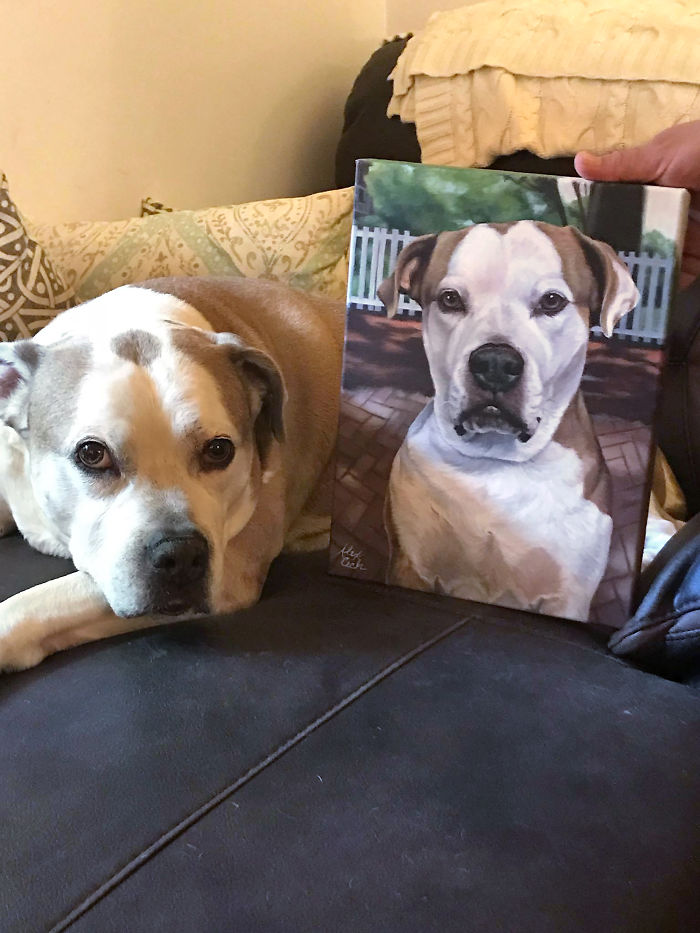 I Paint Custom Pet Portraits And Seeing Them With Their Paintings Is Definitely The Best Thing (11 Pics) I Paint Custom Pet Portraits And Seeing Them With Their Paintings Is Definitely The Best Thing (11 Pics)