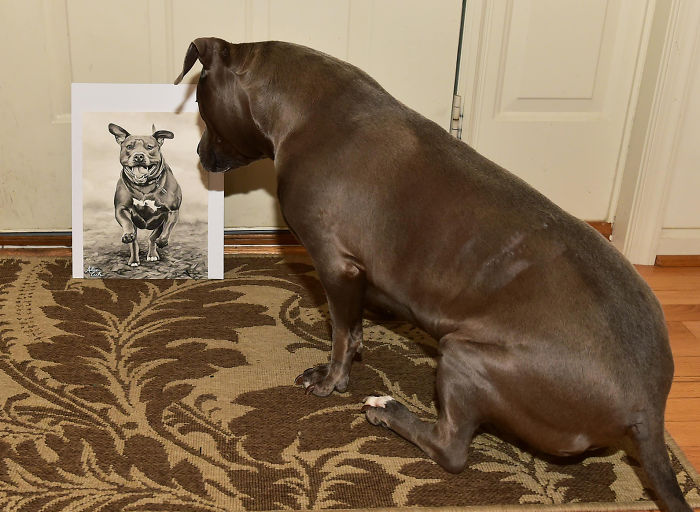 I Paint Custom Pet Portraits And Seeing Them With Their Paintings Is Definitely The Best Thing (11 Pics) I Paint Custom Pet Portraits And Seeing Them With Their Paintings Is Definitely The Best Thing (11 Pics)