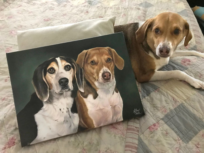 I Paint Custom Pet Portraits And Seeing Them With Their Paintings Is Definitely The Best Thing (11 Pics) I Paint Custom Pet Portraits And Seeing Them With Their Paintings Is Definitely The Best Thing (11 Pics)