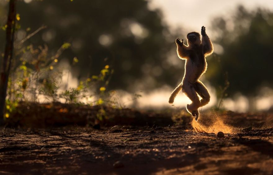 I Tried To &#8220;Save Us&#8221; From Extinction