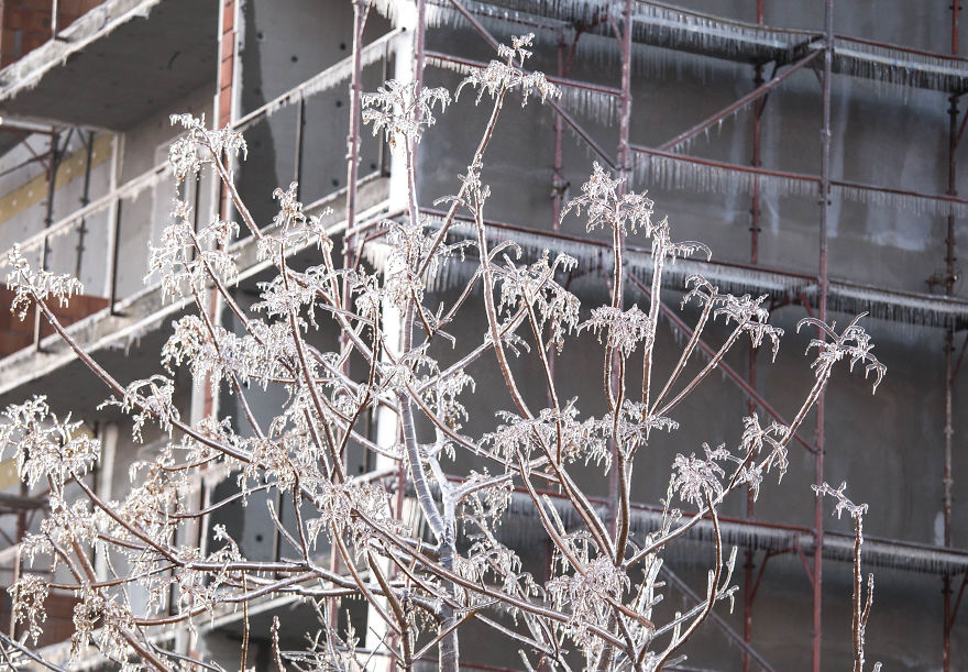 I Photographed Freezing Rain, Alternately Beautiful And Scary I Photographed Freezing Rain, Alternately Beautiful And Scary