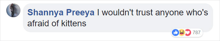 Man With Immense Fear Of Cats Gets Forced To Experience The Cuteness Of Kittens Man With Immense Fear Of Cats Gets Forced To Experience The Cuteness Of Kittens