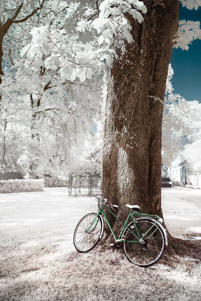 I Made A Lens Filter To Recreate Infrared Photography With My Modified Digital Camera I Made A Lens Filter To Recreate Infrared Photography With My Modified Digital Camera