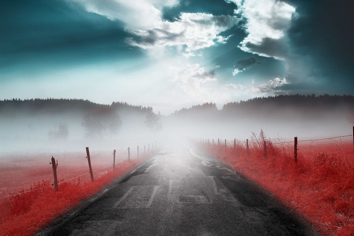 I Made A Lens Filter To Recreate Infrared Photography With My Modified Digital Camera