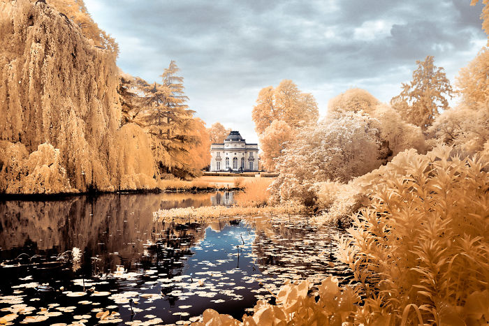 I Made A Lens Filter To Recreate Infrared Photography With My Modified Digital Camera