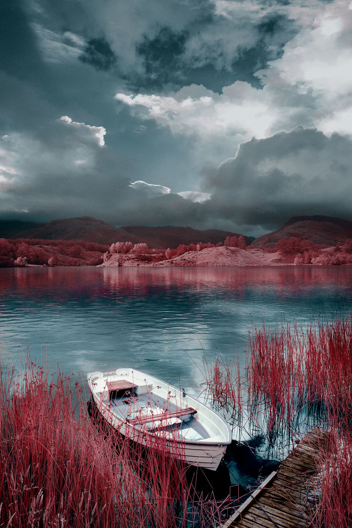 I Made A Lens Filter To Recreate Infrared Photography With My Modified Digital Camera