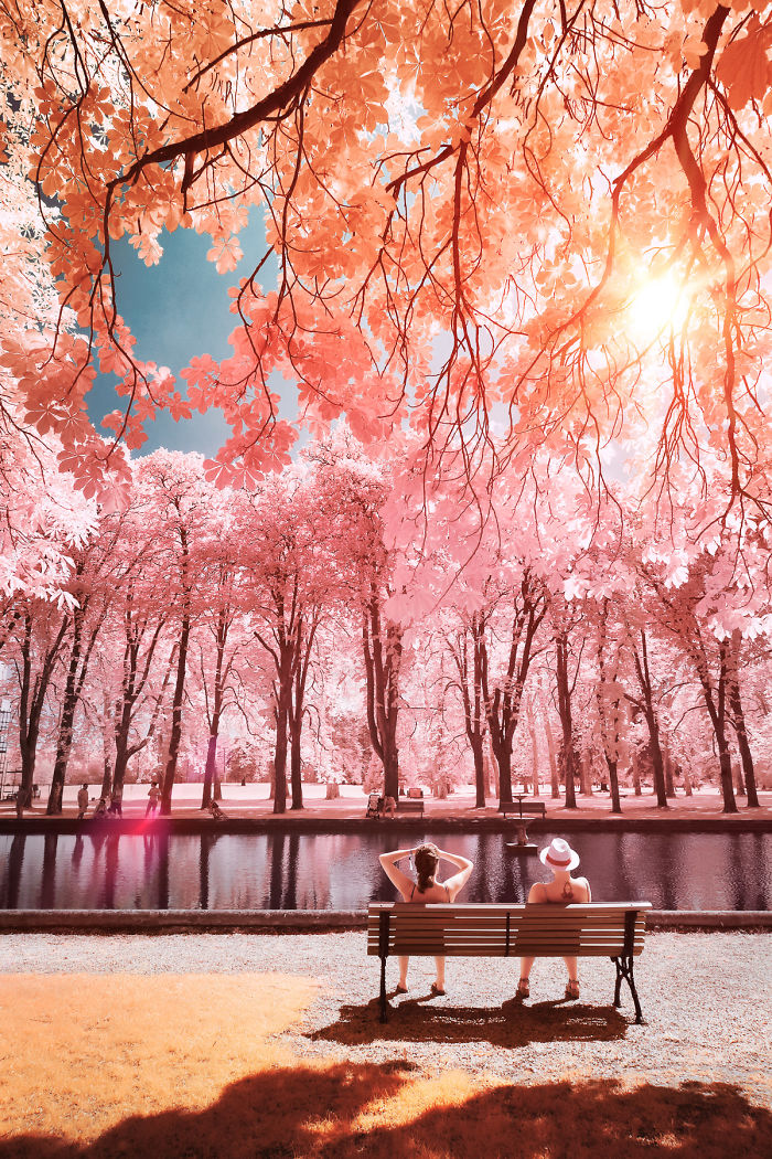 I Made A Lens Filter To Recreate Infrared Photography With My Modified Digital Camera I Made A Lens Filter To Recreate Infrared Photography With My Modified Digital Camera