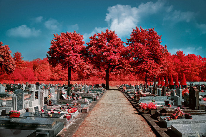 I Made A Lens Filter To Recreate Infrared Photography With My Modified Digital Camera I Made A Lens Filter To Recreate Infrared Photography With My Modified Digital Camera