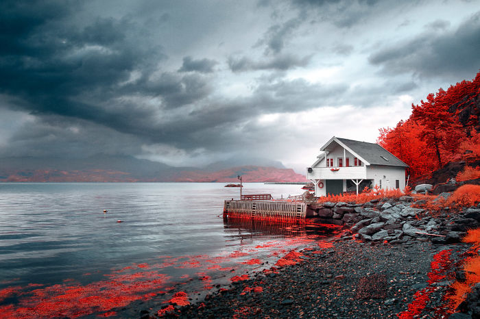 I Made A Lens Filter To Recreate Infrared Photography With My Modified Digital Camera