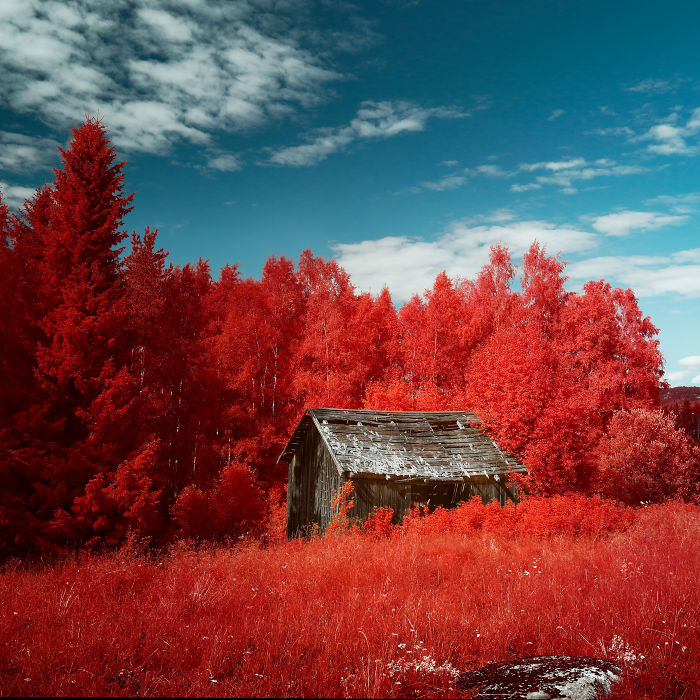 I Made A Lens Filter To Recreate Infrared Photography With My Modified Digital Camera