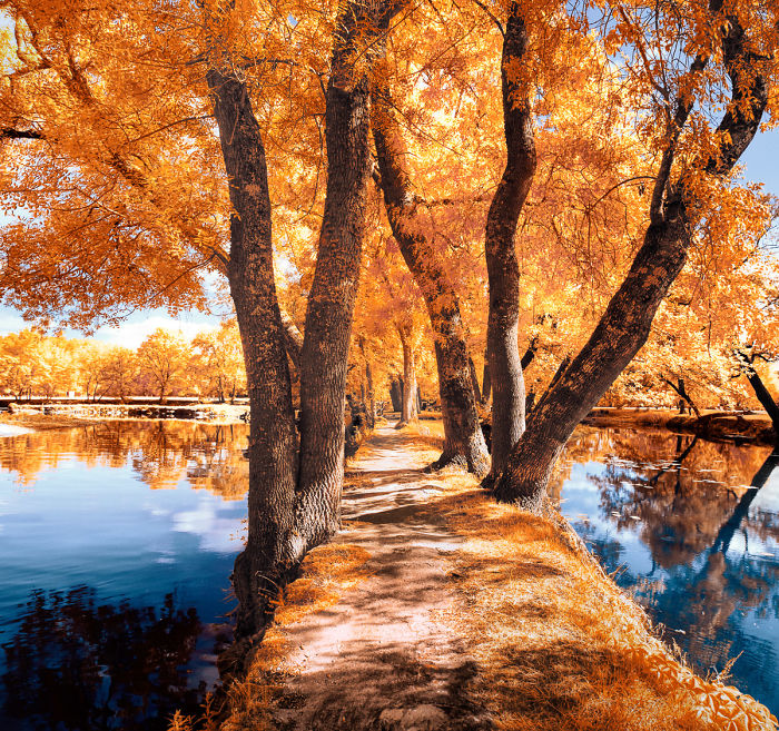 I Made A Lens Filter To Recreate Infrared Photography With My Modified Digital Camera I Made A Lens Filter To Recreate Infrared Photography With My Modified Digital Camera