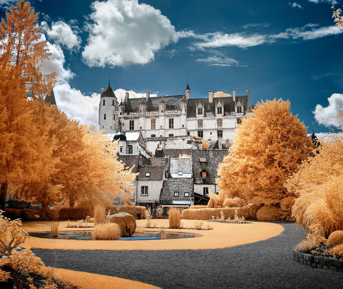 I Made A Lens Filter To Recreate Infrared Photography With My Modified Digital Camera I Made A Lens Filter To Recreate Infrared Photography With My Modified Digital Camera