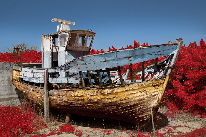 I Made A Lens Filter To Recreate Infrared Photography With My Modified Digital Camera I Made A Lens Filter To Recreate Infrared Photography With My Modified Digital Camera