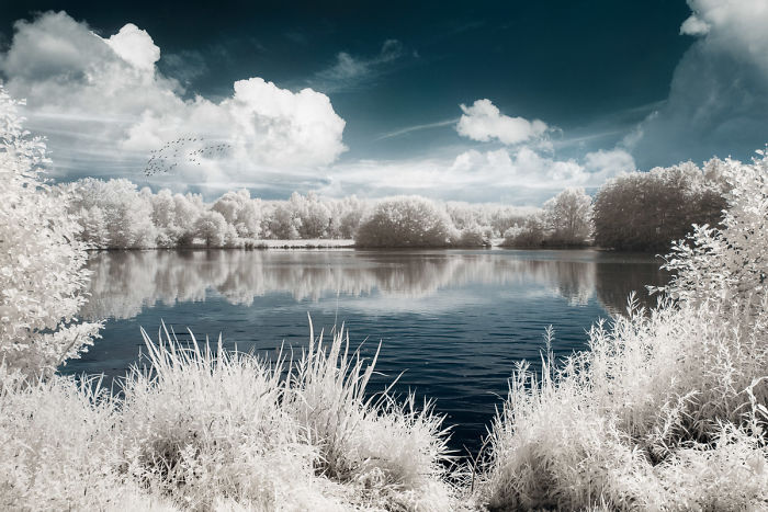 I Made A Lens Filter To Recreate Infrared Photography With My Modified Digital Camera