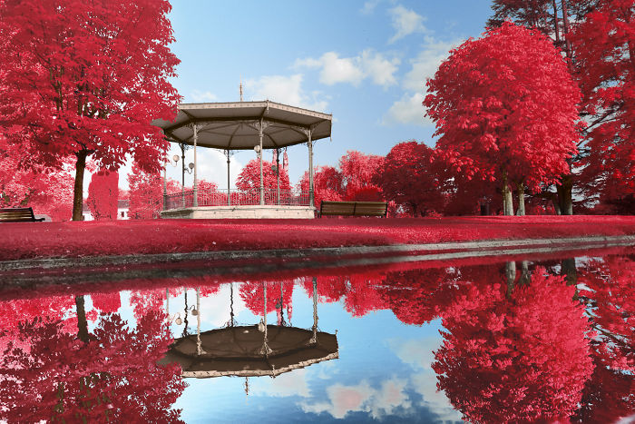 I Made A Lens Filter To Recreate Infrared Photography With My Modified Digital Camera