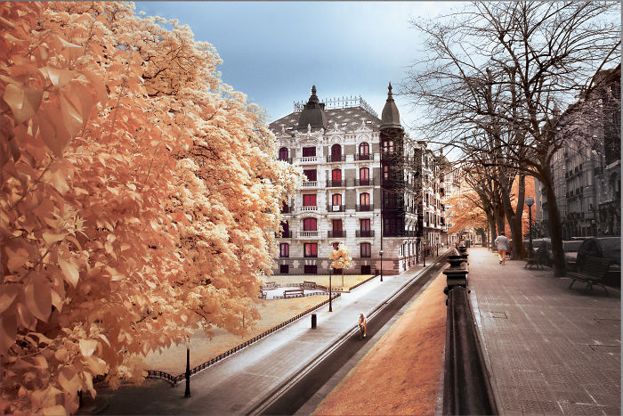 I Made A Lens Filter To Recreate Infrared Photography With My Modified Digital Camera