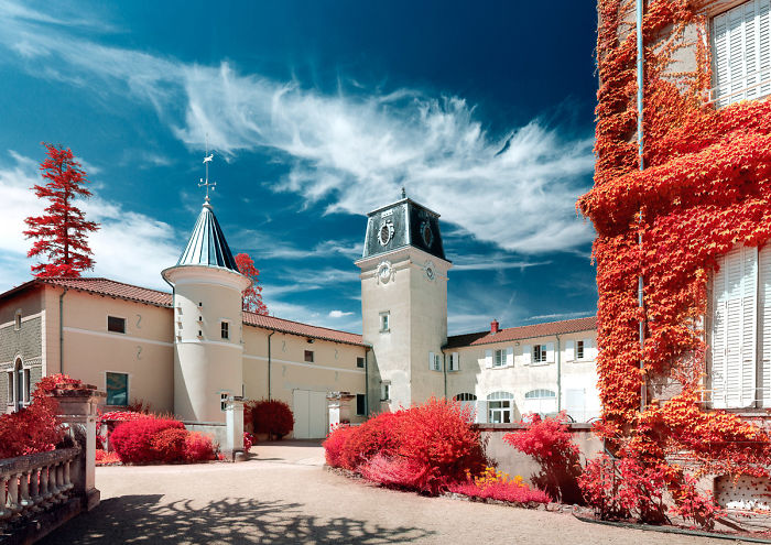 I Made A Lens Filter To Recreate Infrared Photography With My Modified Digital Camera I Made A Lens Filter To Recreate Infrared Photography With My Modified Digital Camera