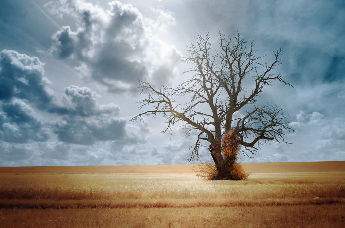 I Made A Lens Filter To Recreate Infrared Photography With My Modified Digital Camera I Made A Lens Filter To Recreate Infrared Photography With My Modified Digital Camera