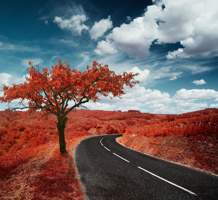 I Made A Lens Filter To Recreate Infrared Photography With My Modified Digital Camera I Made A Lens Filter To Recreate Infrared Photography With My Modified Digital Camera