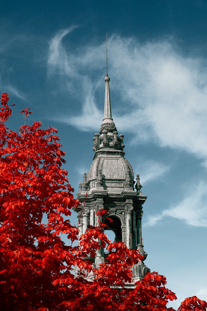 I Made A Lens Filter To Recreate Infrared Photography With My Modified Digital Camera