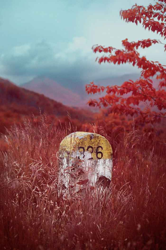 I Made A Lens Filter To Recreate Infrared Photography With My Modified Digital Camera I Made A Lens Filter To Recreate Infrared Photography With My Modified Digital Camera