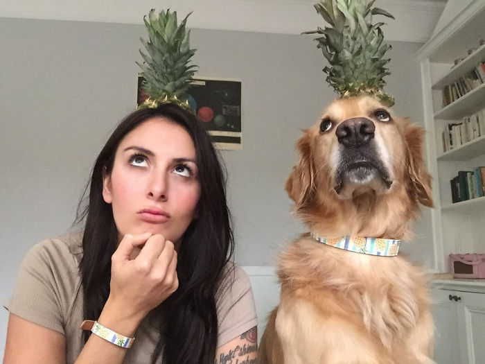 I’m Mildly Obsessed With My Dog, And I Don’t Regret A Minute Of It (22 Pics) I’m Mildly Obsessed With My Dog, And I Don’t Regret A Minute Of It (22 Pics)