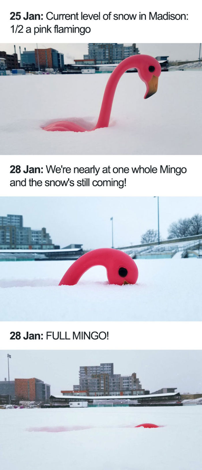 50 Photos That Show Just How Insanely Cold It Is In America Right Now