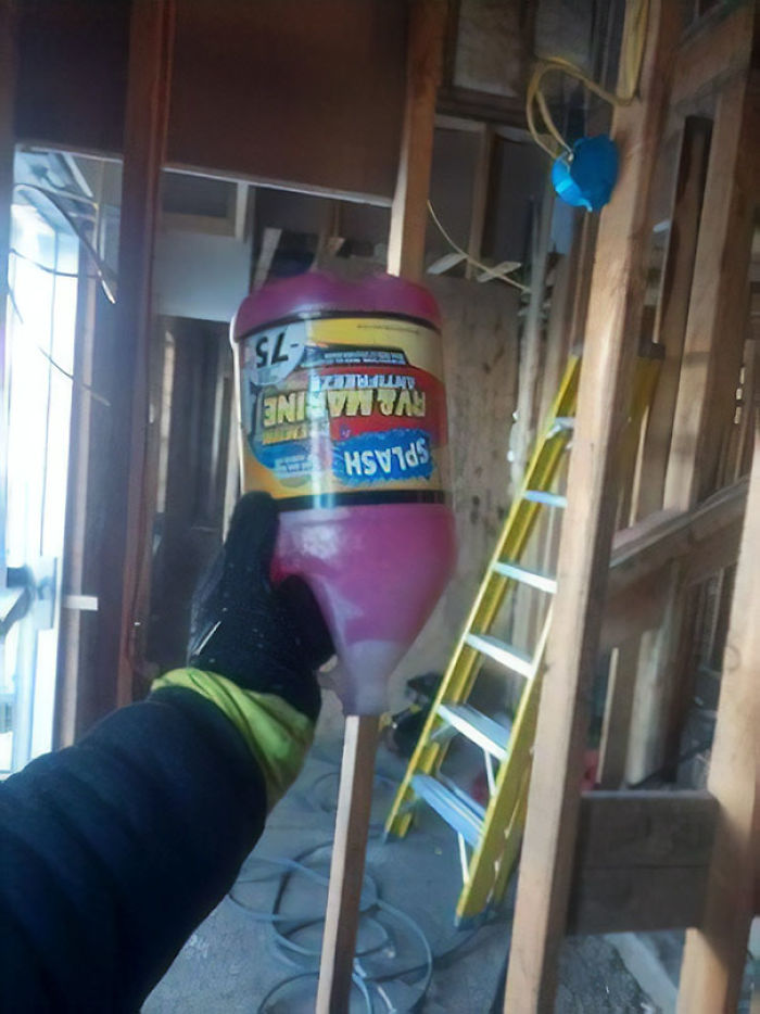 50 Photos That Show Just How Insanely Cold It Is In America Right Now