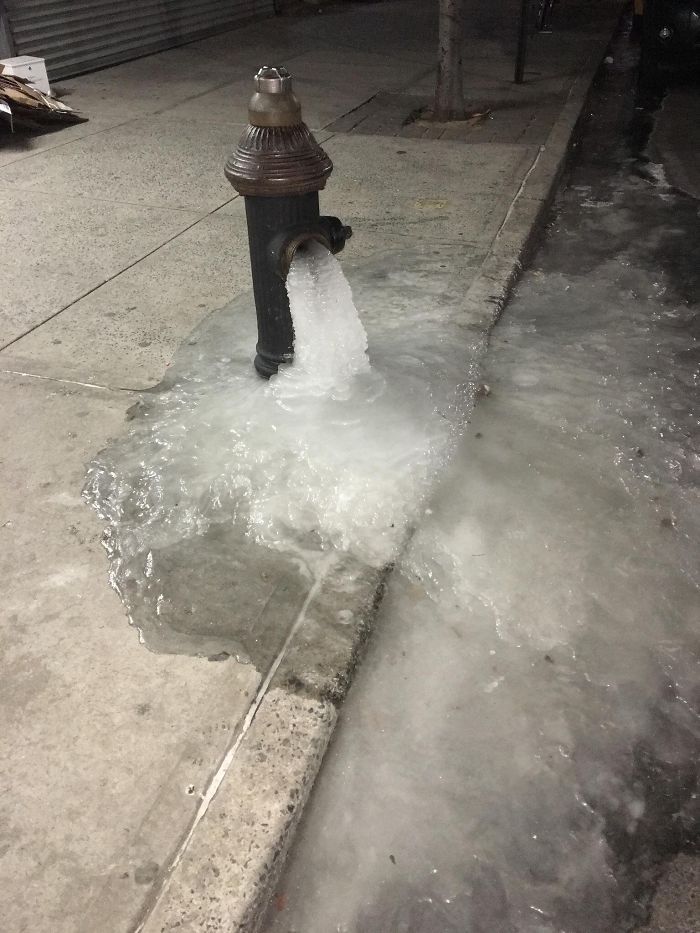 50 Photos That Show Just How Insanely Cold It Is In America Right Now
