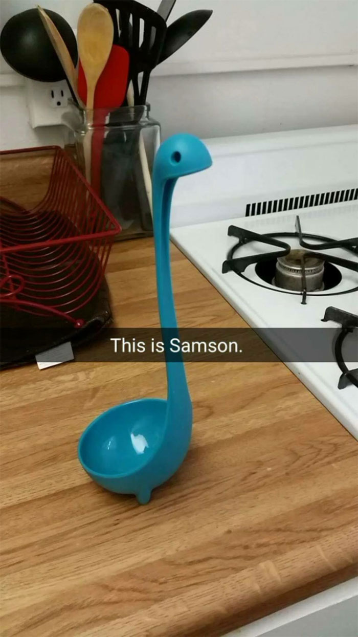 Woman Creates An Instagram Account For Her Soup Ladle Samson And People Can’t Get Enough Of Him Woman Creates An Instagram Account For Her Soup Ladle Samson And People Can’t Get Enough Of Him