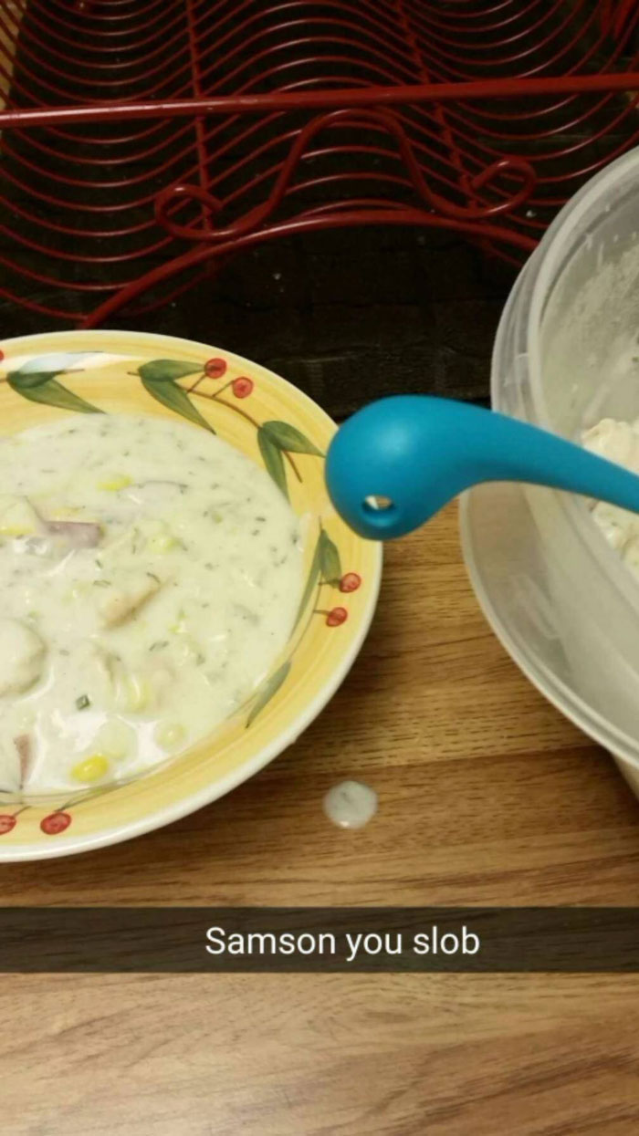 Woman Creates An Instagram Account For Her Soup Ladle Samson And People Can’t Get Enough Of Him Woman Creates An Instagram Account For Her Soup Ladle Samson And People Can’t Get Enough Of Him