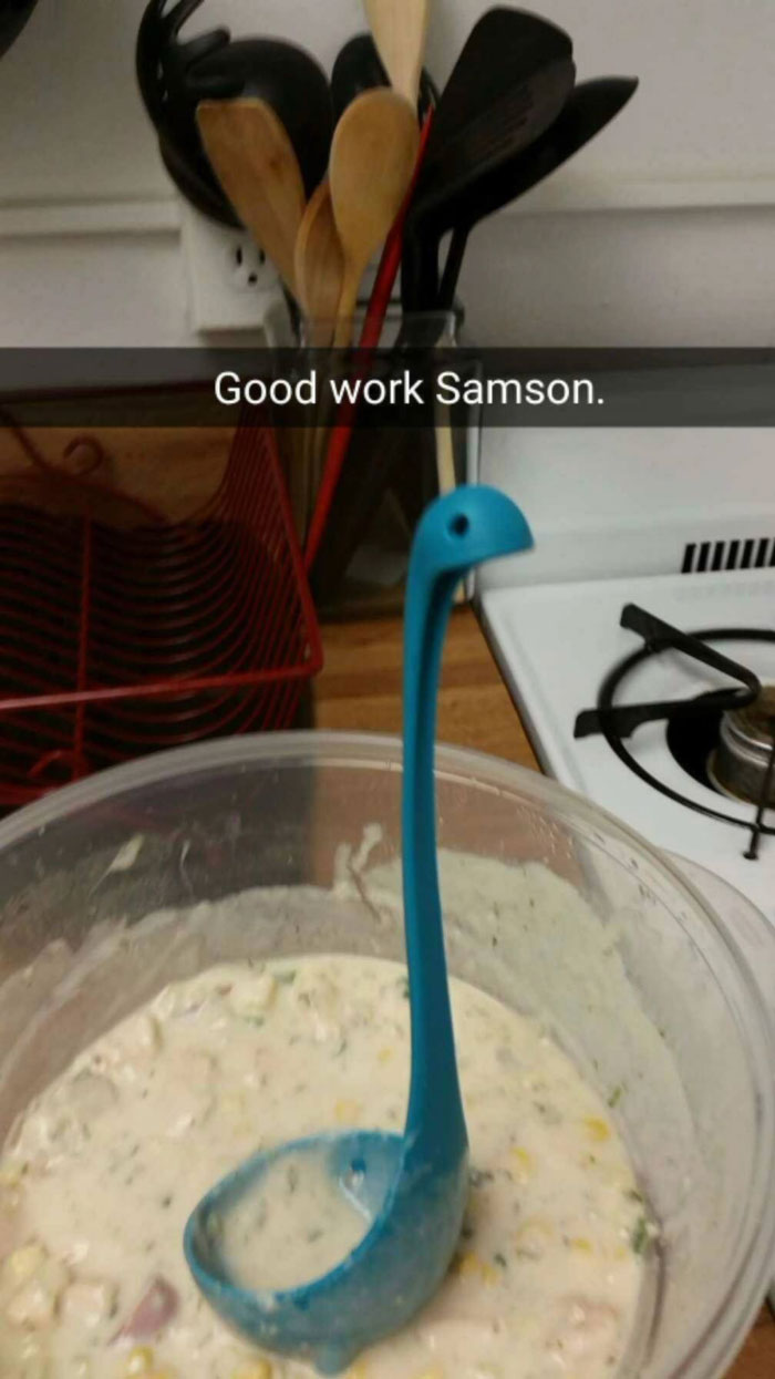 Woman Creates An Instagram Account For Her Soup Ladle Samson And People Can’t Get Enough Of Him Woman Creates An Instagram Account For Her Soup Ladle Samson And People Can’t Get Enough Of Him