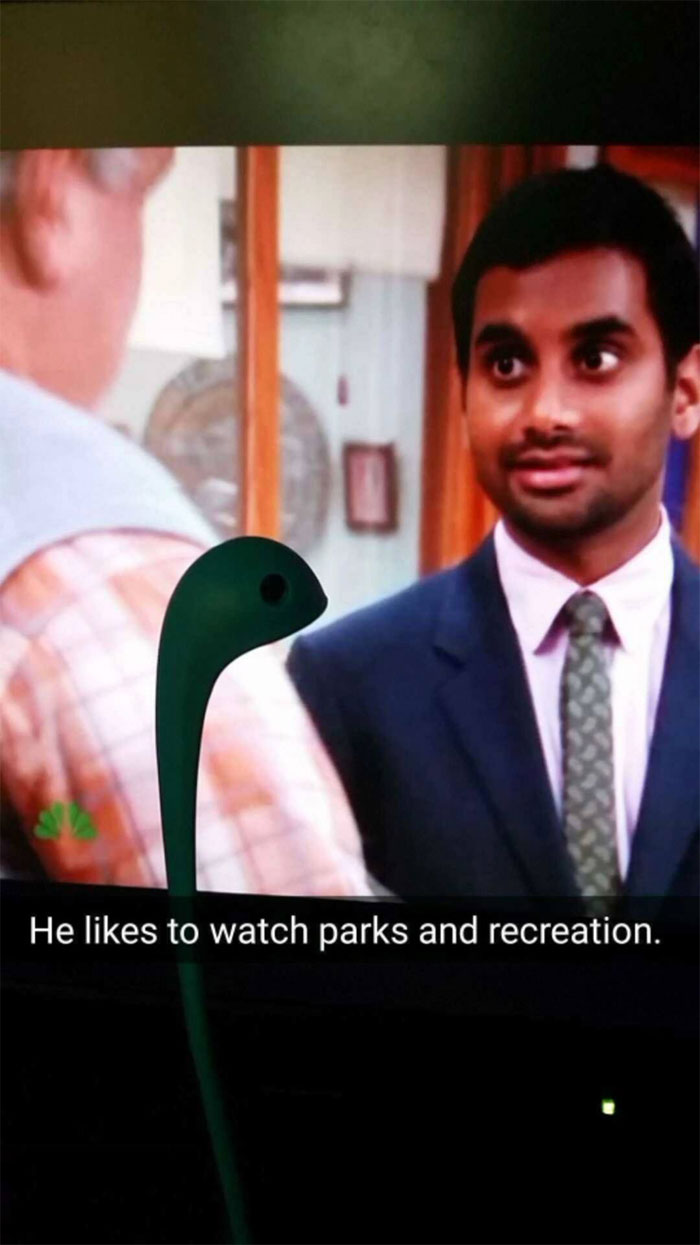 Woman Creates An Instagram Account For Her Soup Ladle Samson And People Can’t Get Enough Of Him Woman Creates An Instagram Account For Her Soup Ladle Samson And People Can’t Get Enough Of Him