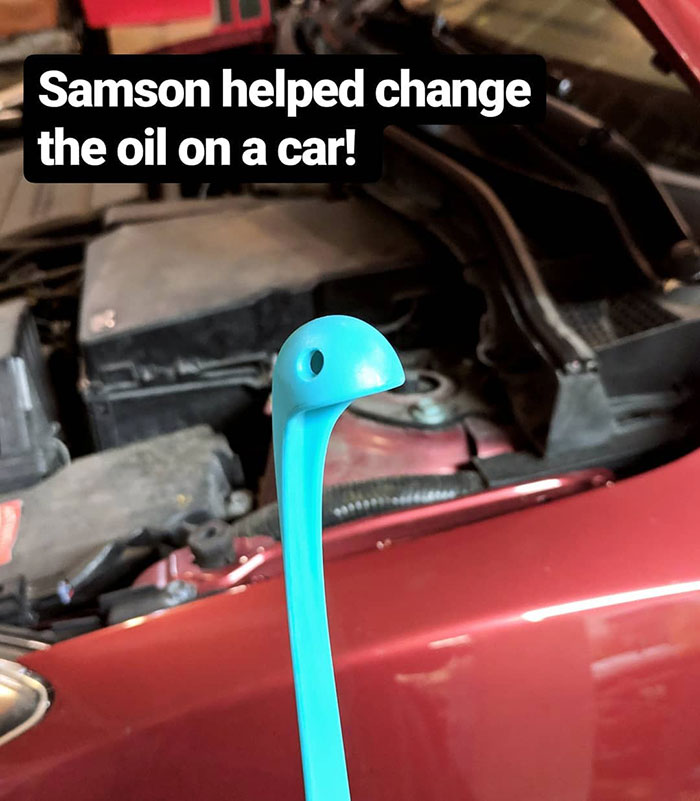 Woman Creates An Instagram Account For Her Soup Ladle Samson And People Can’t Get Enough Of Him Woman Creates An Instagram Account For Her Soup Ladle Samson And People Can’t Get Enough Of Him