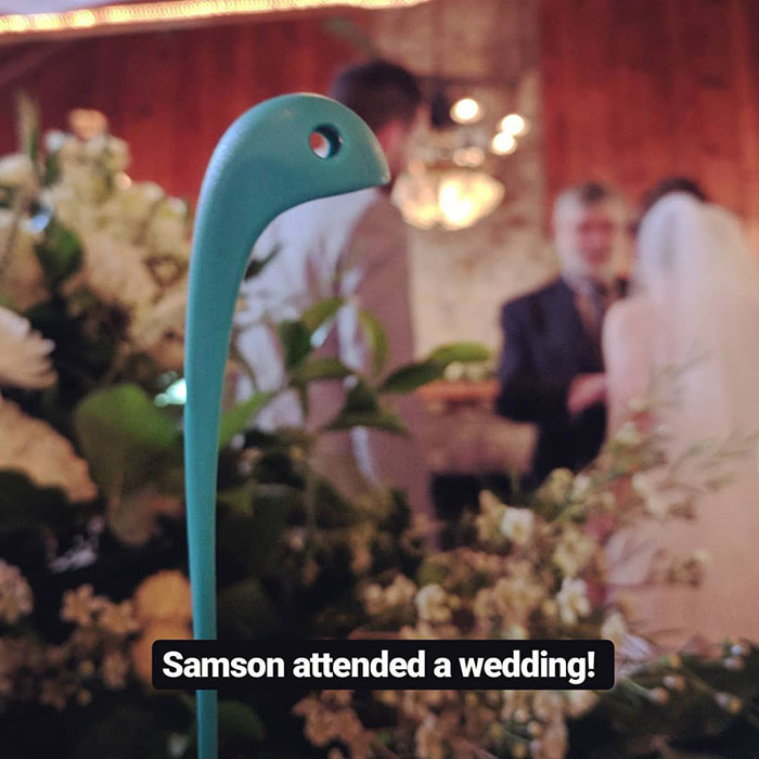 Woman Creates An Instagram Account For Her Soup Ladle Samson And People Can’t Get Enough Of Him Woman Creates An Instagram Account For Her Soup Ladle Samson And People Can’t Get Enough Of Him