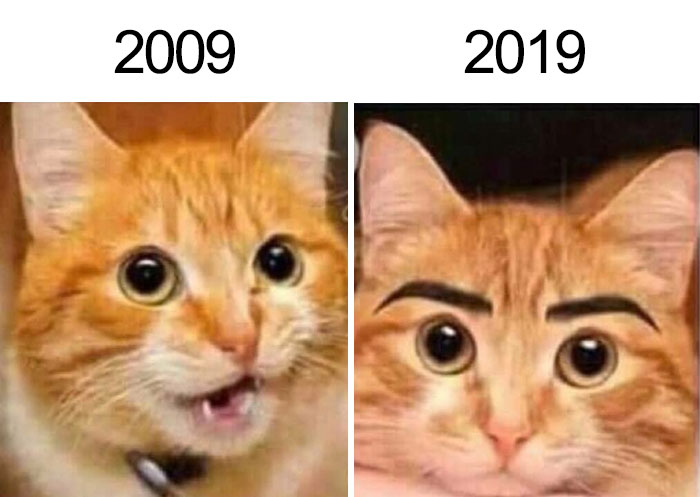 35 Funniest Memes That Mock The ‘10 Year Challenge’ 35 Funniest Memes That Mock The ‘10 Year Challenge’