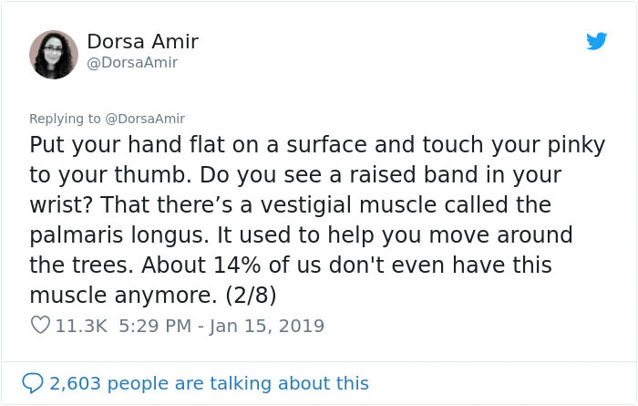6 “Evolutionary Leftovers” That No Longer Serve A Purpose In Our Bodies 6 “Evolutionary Leftovers” That No Longer Serve A Purpose In Our Bodies