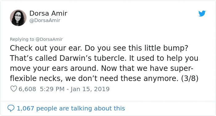 6 “Evolutionary Leftovers” That No Longer Serve A Purpose In Our Bodies 6 “Evolutionary Leftovers” That No Longer Serve A Purpose In Our Bodies