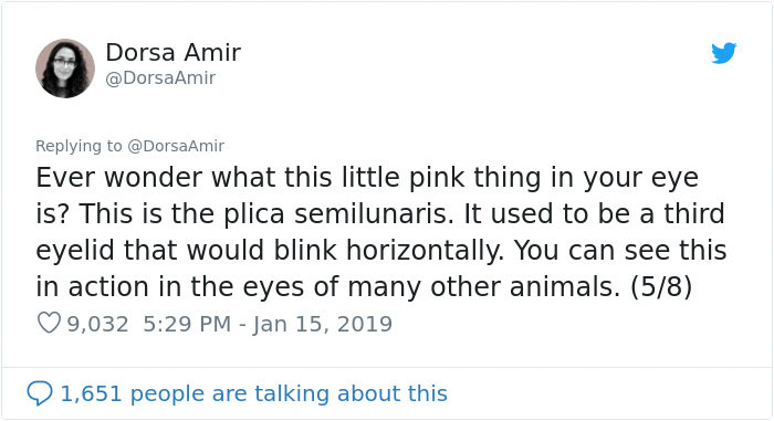 6 “Evolutionary Leftovers” That No Longer Serve A Purpose In Our Bodies 6 “Evolutionary Leftovers” That No Longer Serve A Purpose In Our Bodies