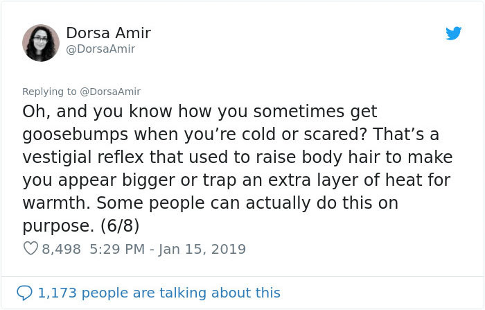 6 “Evolutionary Leftovers” That No Longer Serve A Purpose In Our Bodies 6 “Evolutionary Leftovers” That No Longer Serve A Purpose In Our Bodies