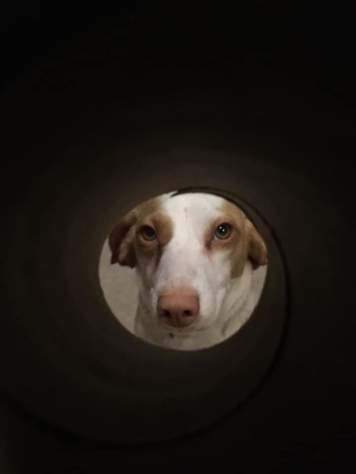 Apparently, If You Take A Selfie Through A Toilet Roll Tube You&#8217;ll Look Like The Moon, And The Pics Are Mildly Funny