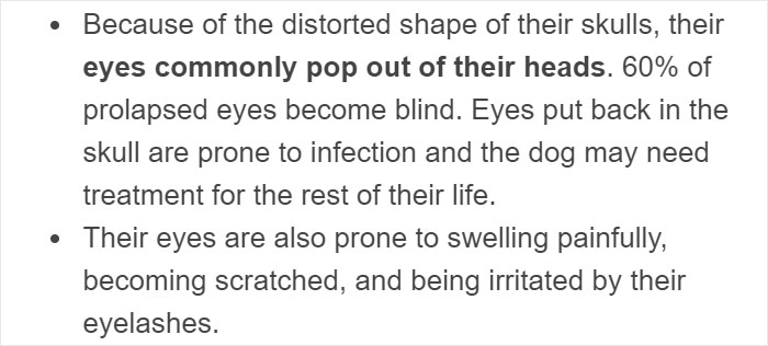 &ldquo;Pugs Are Not Cute, [They&rsquo;re] Malformed, Sick Animals That Shouldn&rsquo;t Exist&rdquo;: This Tumblr Thread May Change The Way You See Pugs