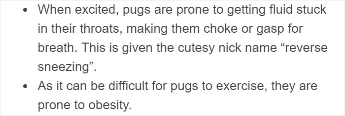 &ldquo;Pugs Are Not Cute, [They&rsquo;re] Malformed, Sick Animals That Shouldn&rsquo;t Exist&rdquo;: This Tumblr Thread May Change The Way You See Pugs