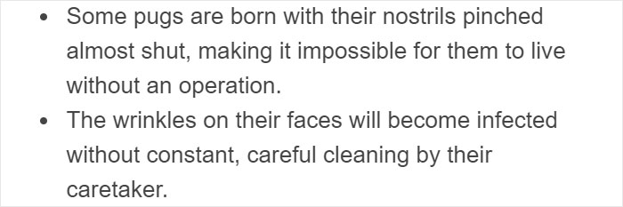 &ldquo;Pugs Are Not Cute, [They&rsquo;re] Malformed, Sick Animals That Shouldn&rsquo;t Exist&rdquo;: This Tumblr Thread May Change The Way You See Pugs